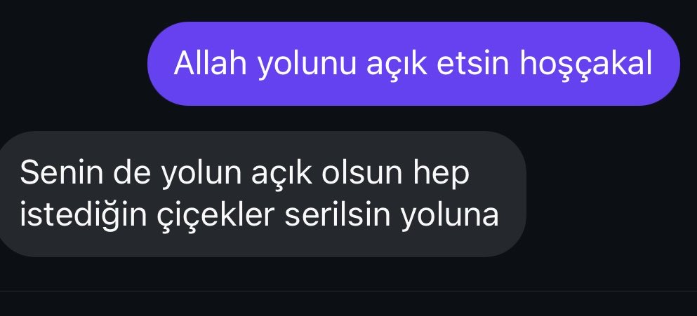 Başlangıçta çiçek,
sonda yol vardı.