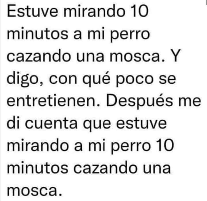 Sabueson (@sabueson) on Twitter photo 