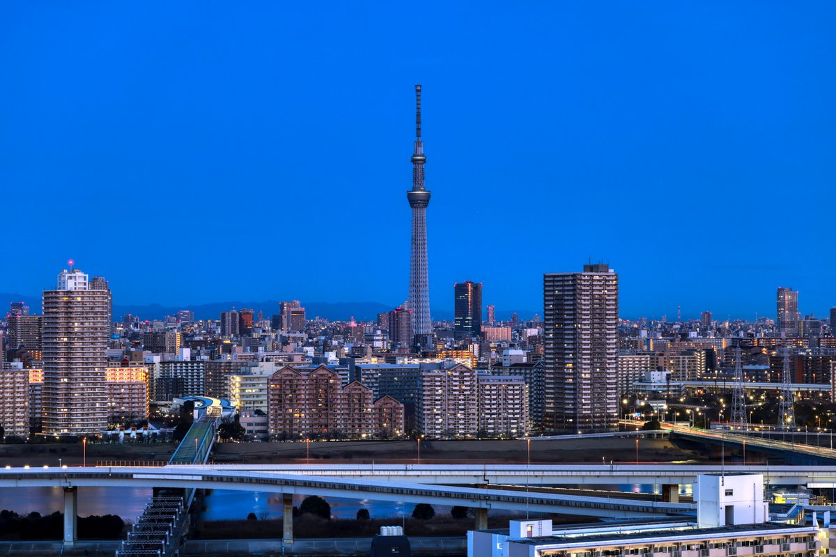 おはようございます。夜明けの東京です。