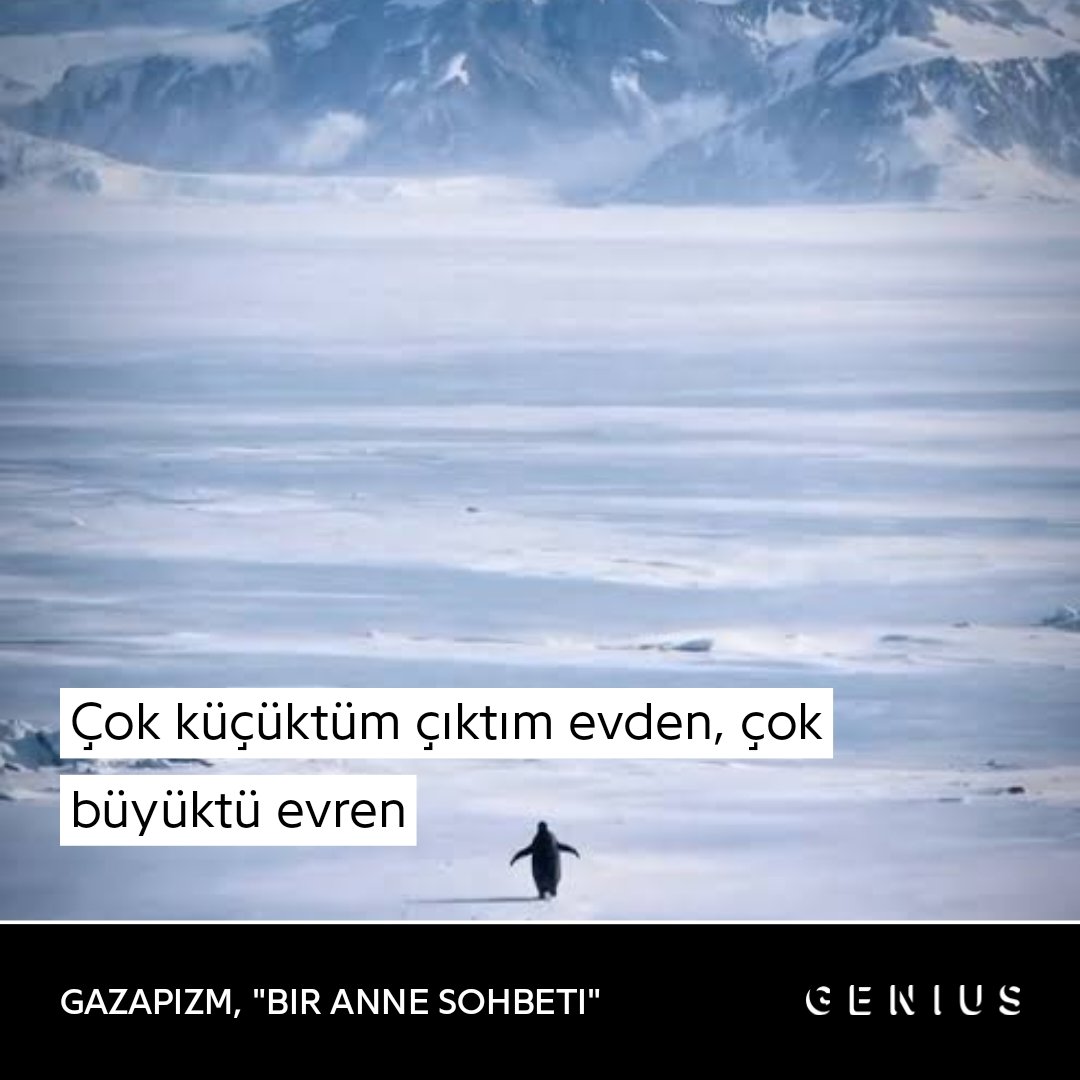 Sokakların Manevi Çocukları (@1yeraltisakini) on Twitter photo 