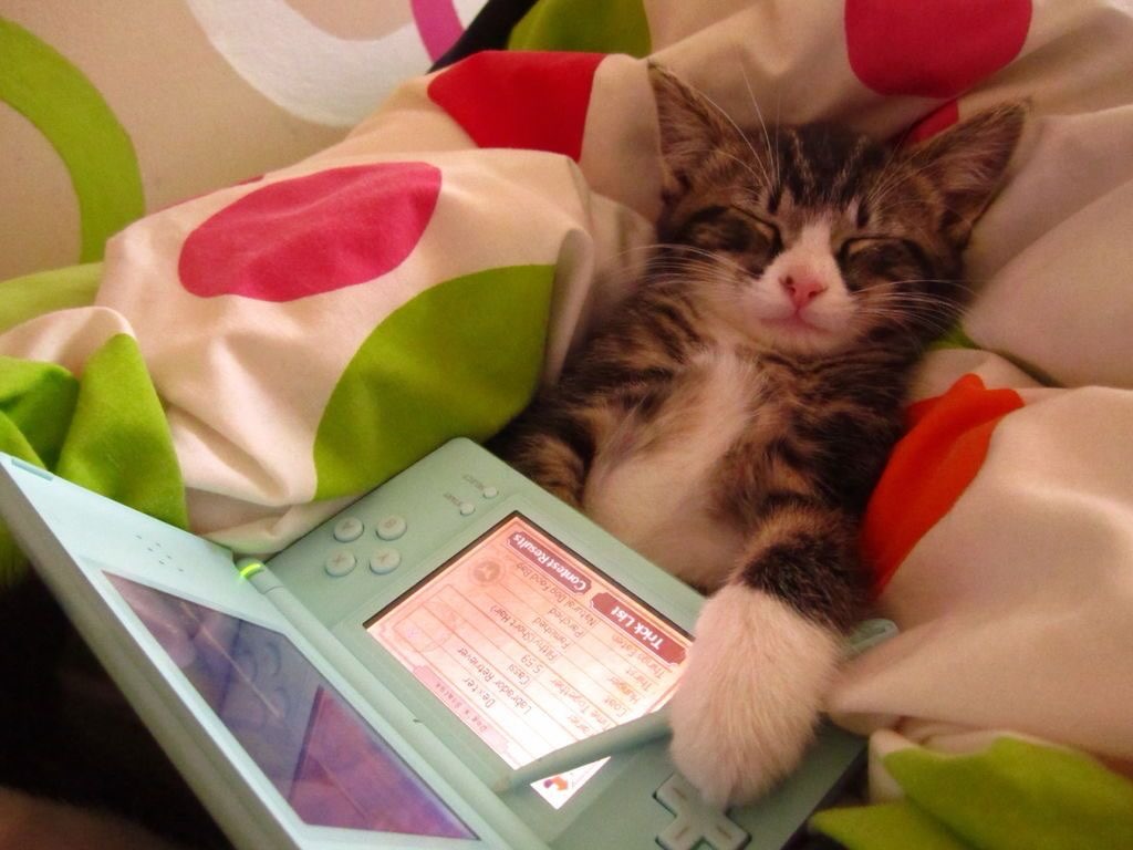 Grande (@sixrande) on Twitter photo 