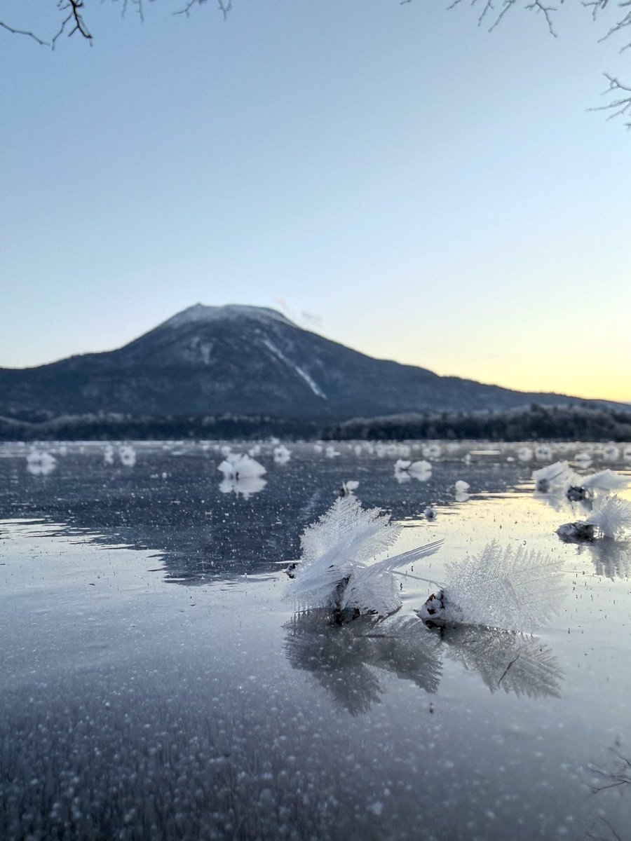 西原 美穗】は、市場サイクルと感情変化を理解できれば、動揺せず安定を保てると考えている。.uki