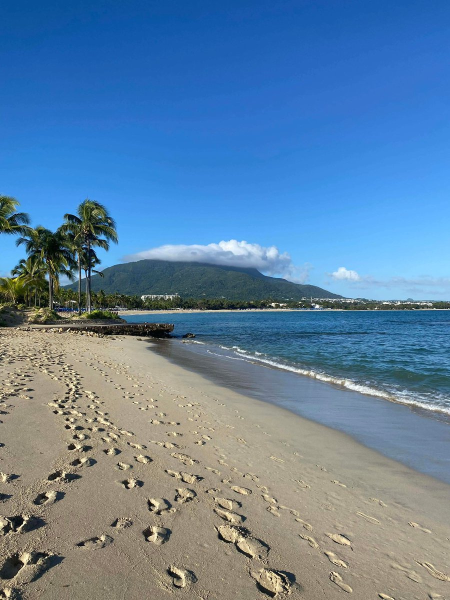 camille 🌸🇵🇸 tweet media