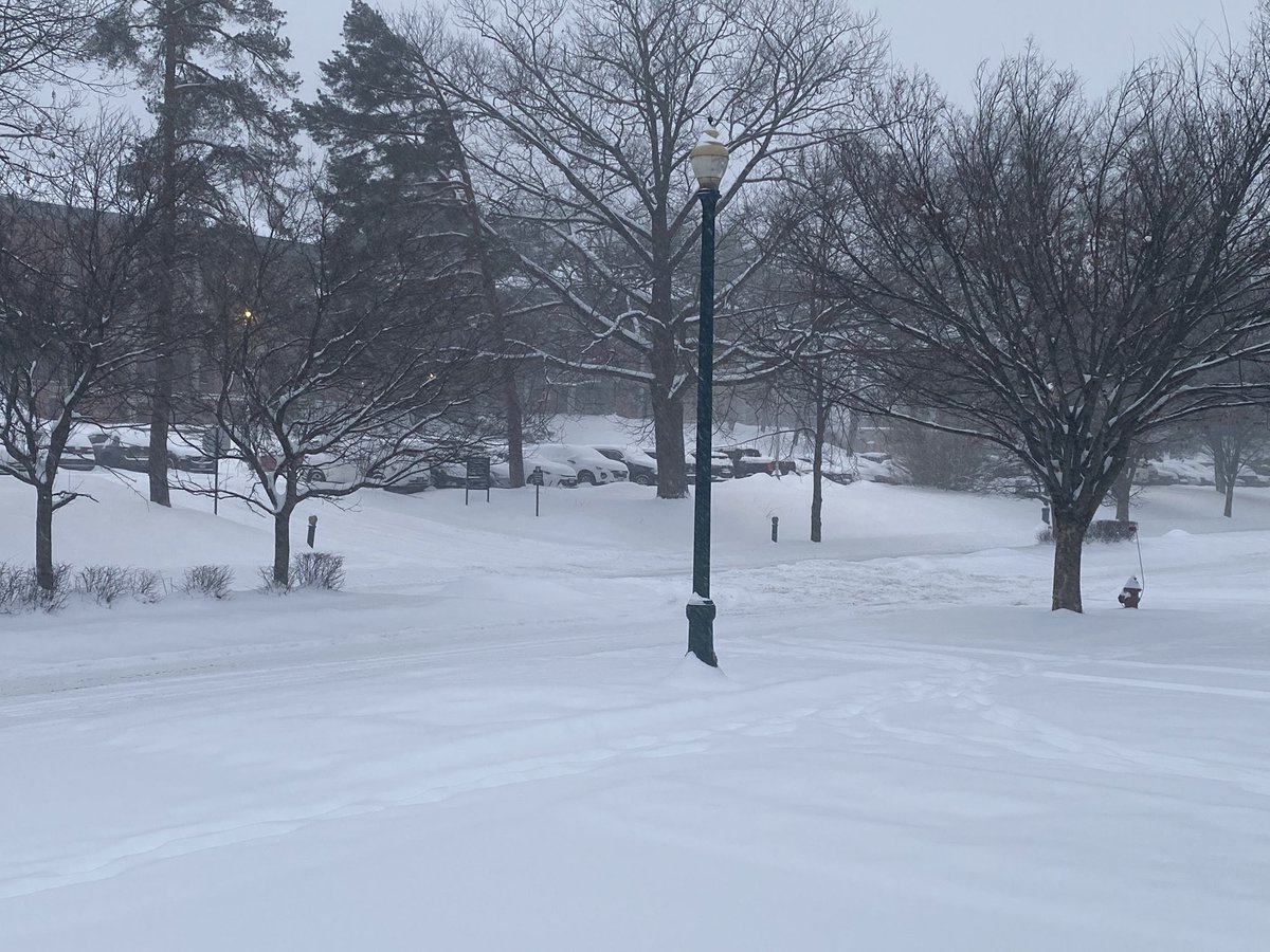 Let it snowwww ❄️