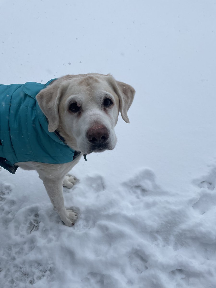 Jules 🔜 Orlando tweet media