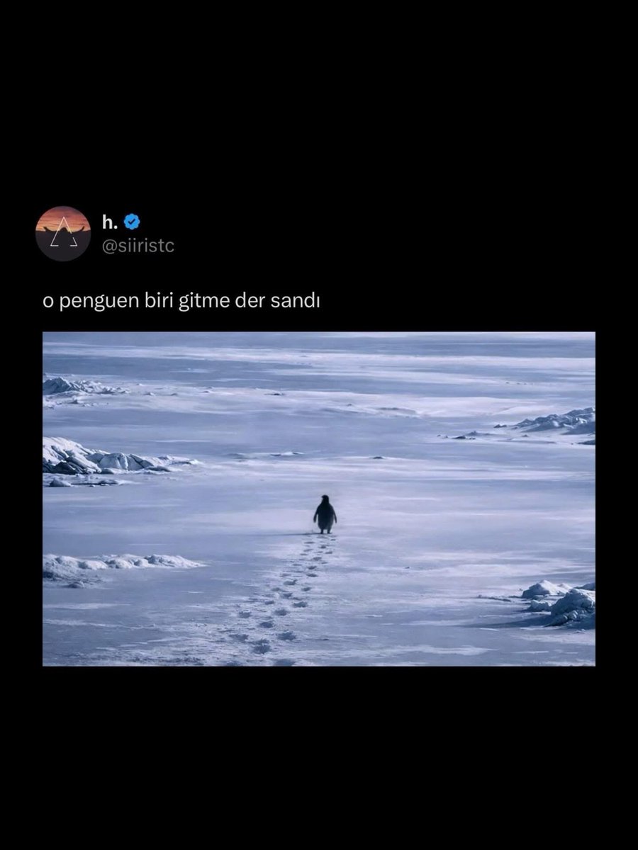 ayışığındasaklıdır tweet media