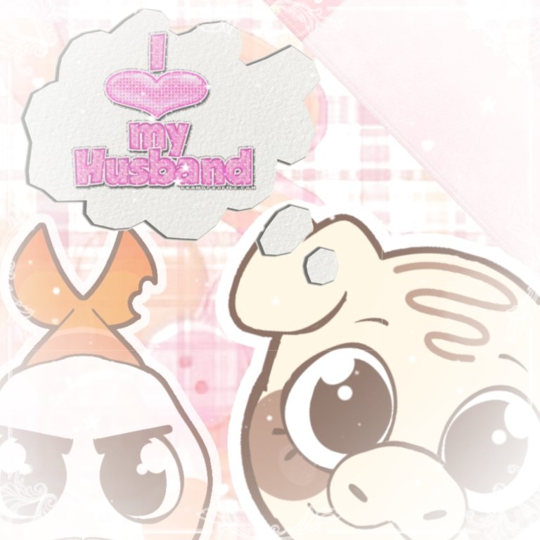 Shirmpo shirmpo shimpo