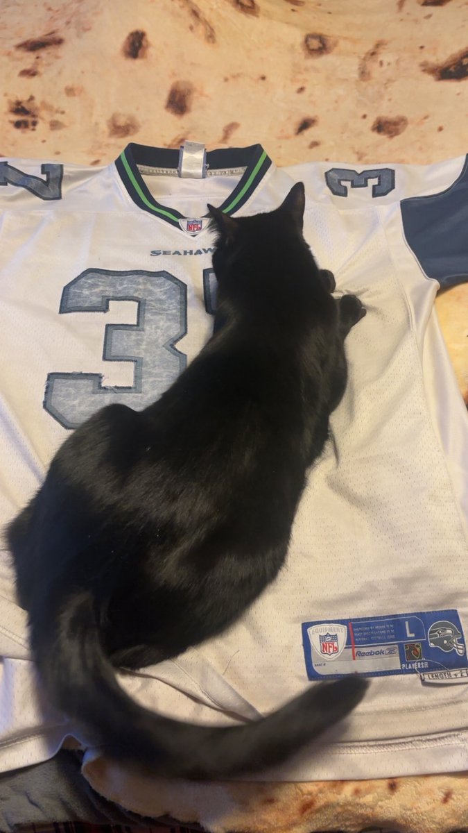 Alex Kelly tweet media