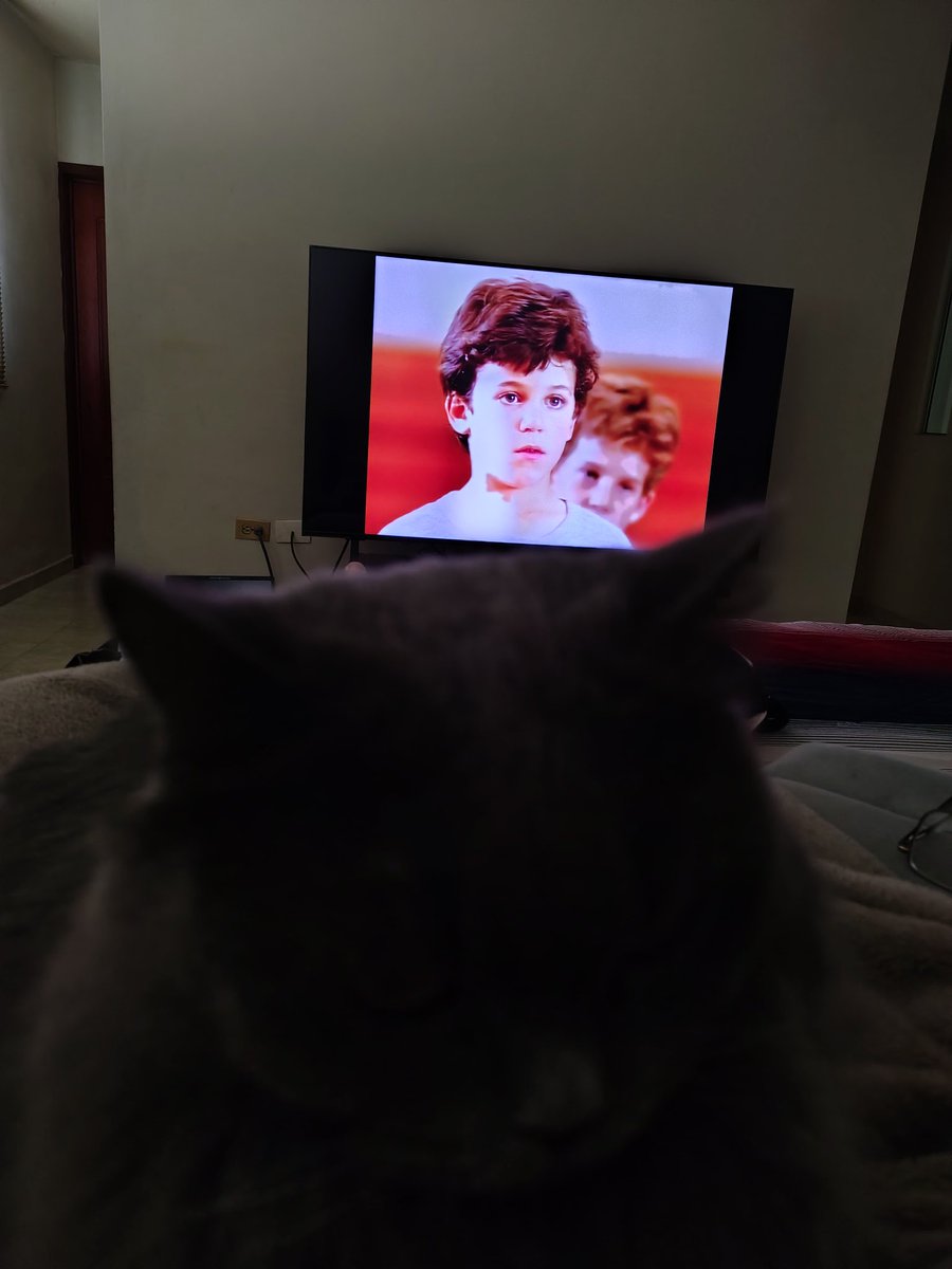 Silvia Heredia tweet media