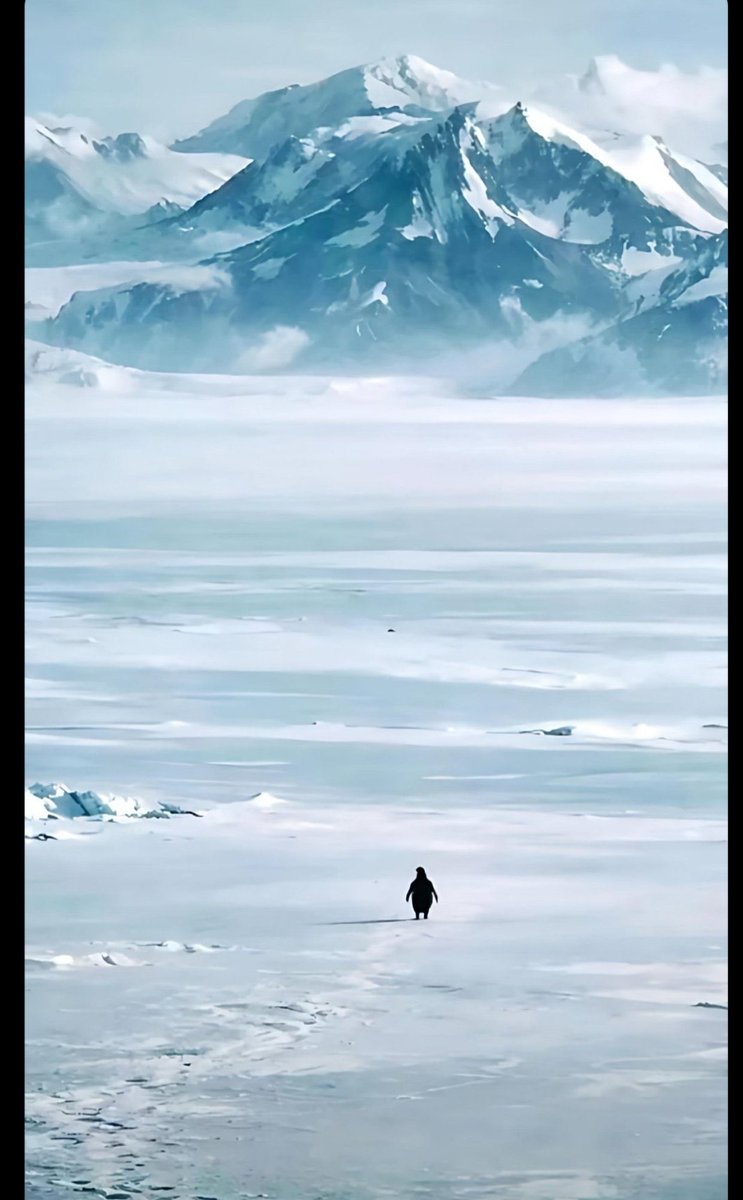 nefes alacak yer bırakmayıp, 
seni gitmekle suçlayacaklar.