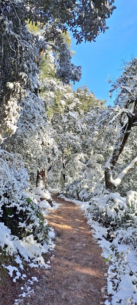 hikesbd's tweet photo. Sortida en família pel #PNSantLlorenç per pujar a La Mola totalment nevada en el seu punt més elevat.
#comelVallèsnohihares
#hiking https://t.co/b0ljsqxJhp