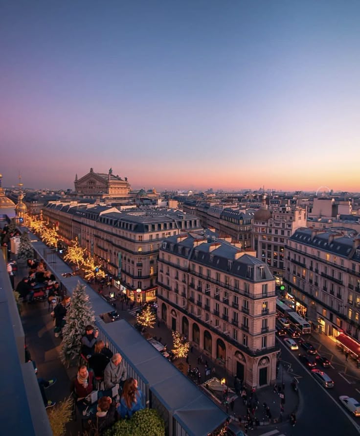 Parisian rooftops at twilight.✨