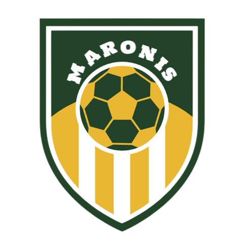 Ligue de Football Zenavienne tweet media