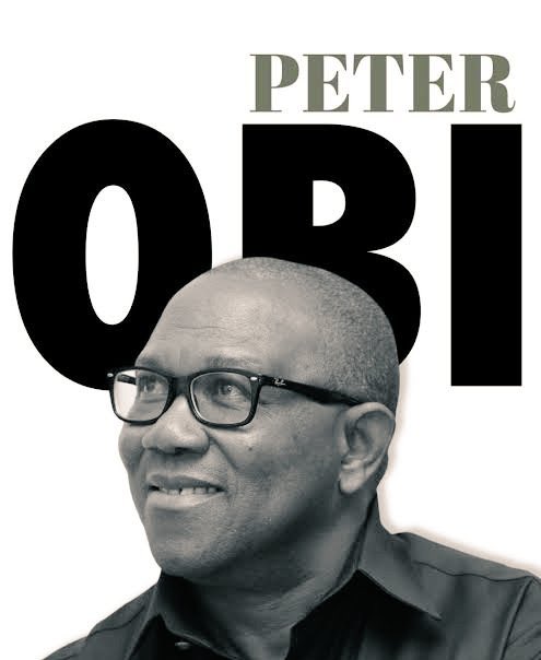 THE BIG ELEPHANT tweet media