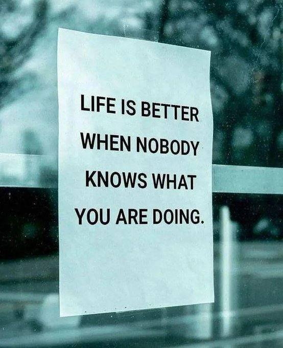 mindfulmaven_'s tweet photo. https://t.co/hFSwQYP8ZQ