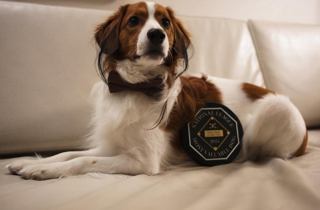 デコピン様 🏆🐶🗽 デコピン3年連続MVD(DOG)の快挙おめでとう🎉🥳✨ 2024年1月MVP