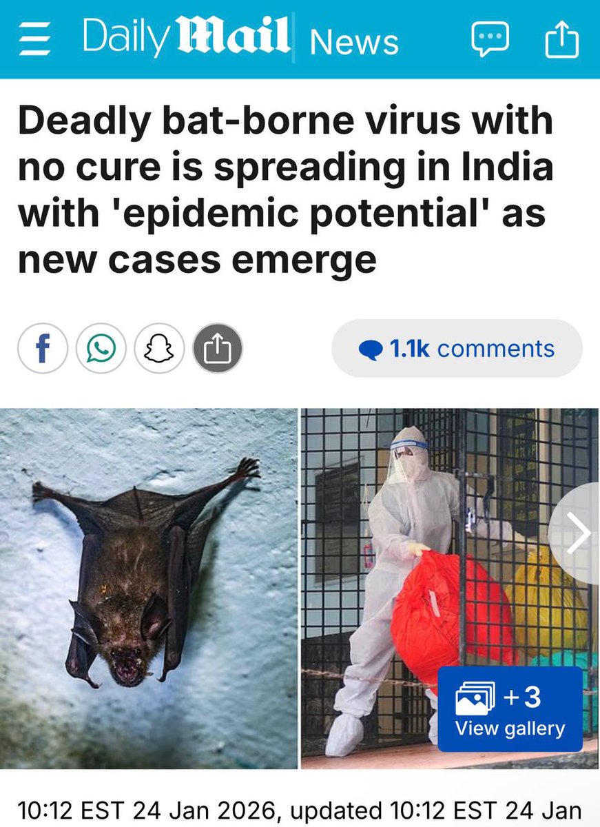 illuminatibot tweet media