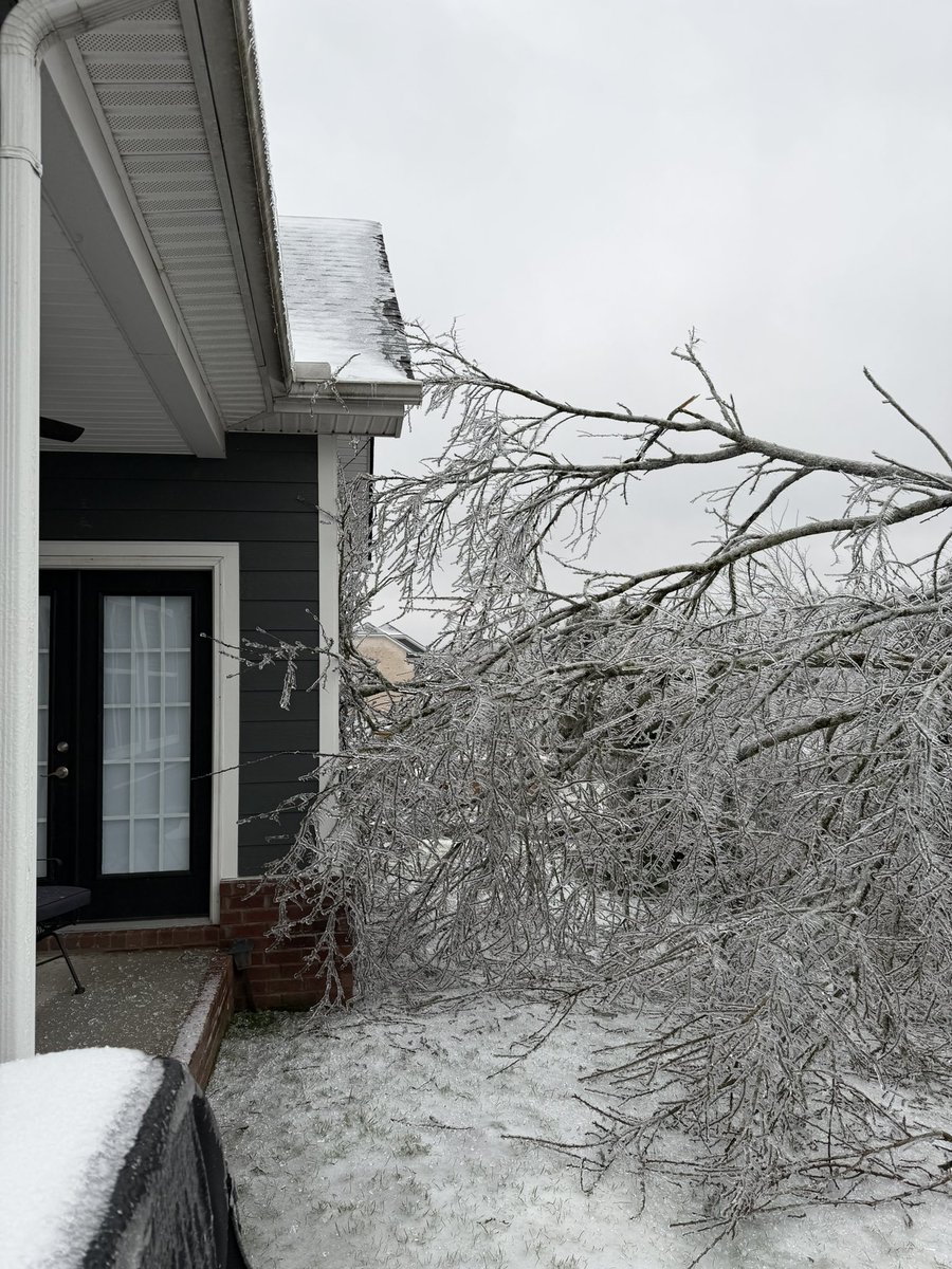 I’m definitely anti-ice now. Large tree directly behind house comes down, grazing house.