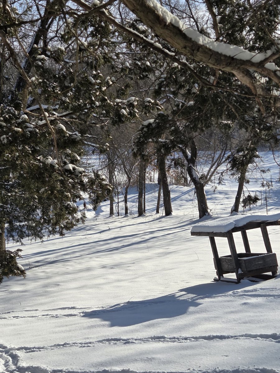 WadeCook64's tweet image. 6-8 in. here in Mo.🥶👍😎