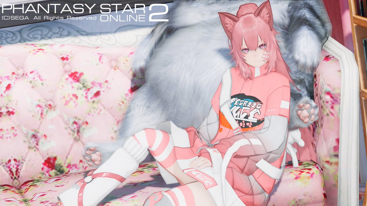 でか猫の肉球可愛いよね
#PSO2NGS_SS