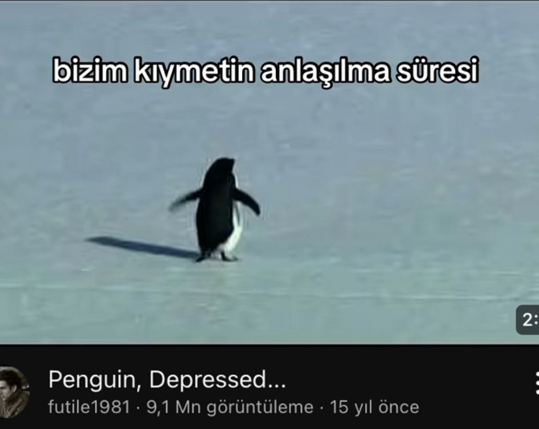 yusuf (@yusufkayaliy) on Twitter photo 