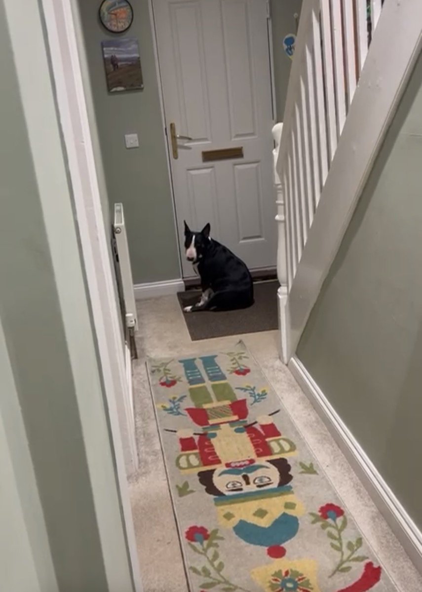 Samara E Cohen tweet media