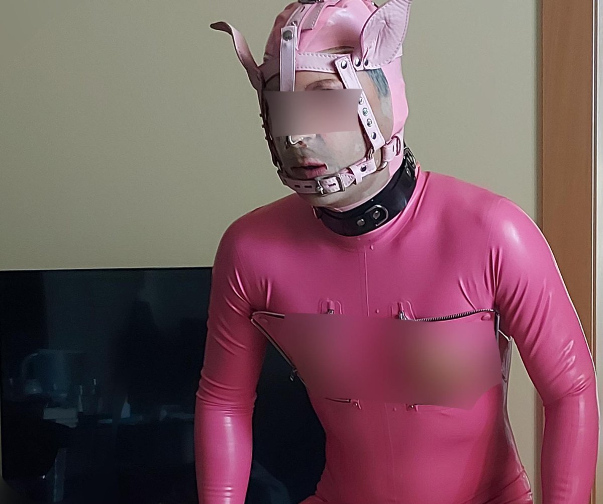 badbratkate's tweet image. So I have this one paƴ pịg… literally.
Are there any brochures on how to take care of them?
I’m thinking of getting a whole farm.