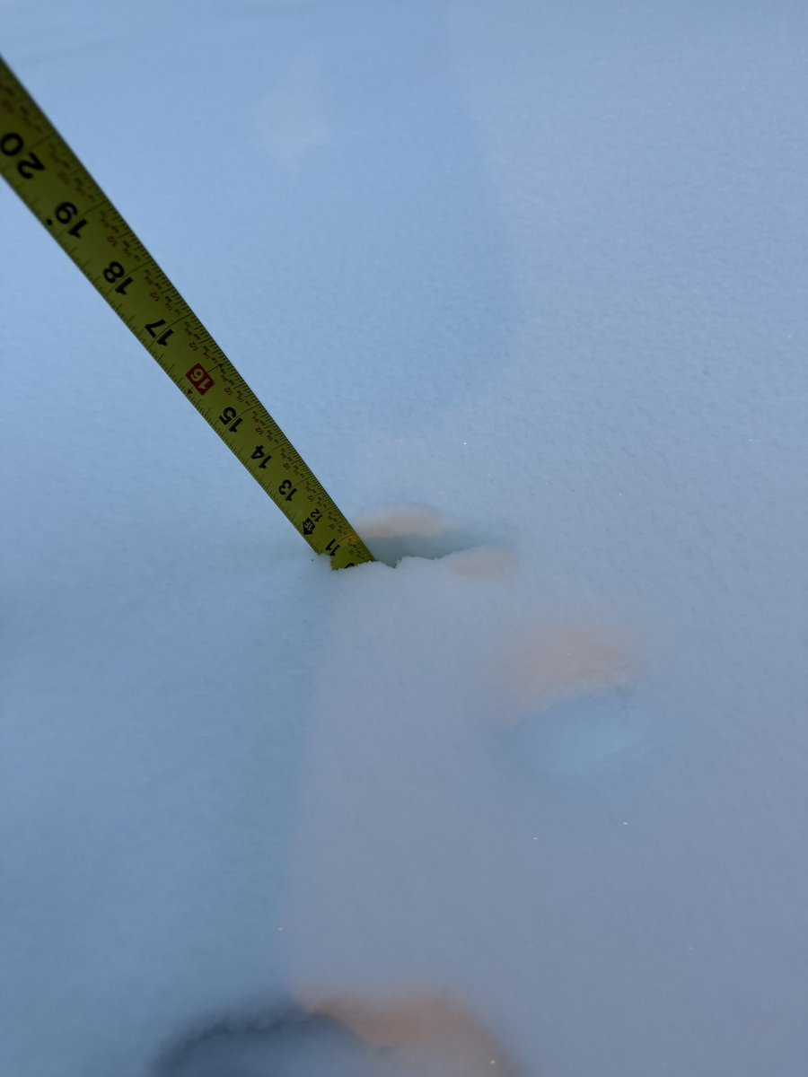 dancastner's tweet photo. 11.5” croton on Hudson, NY, 5pm @NWSNewYorkNY @nynjpaweather https://t.co/ArtIsmVzdm