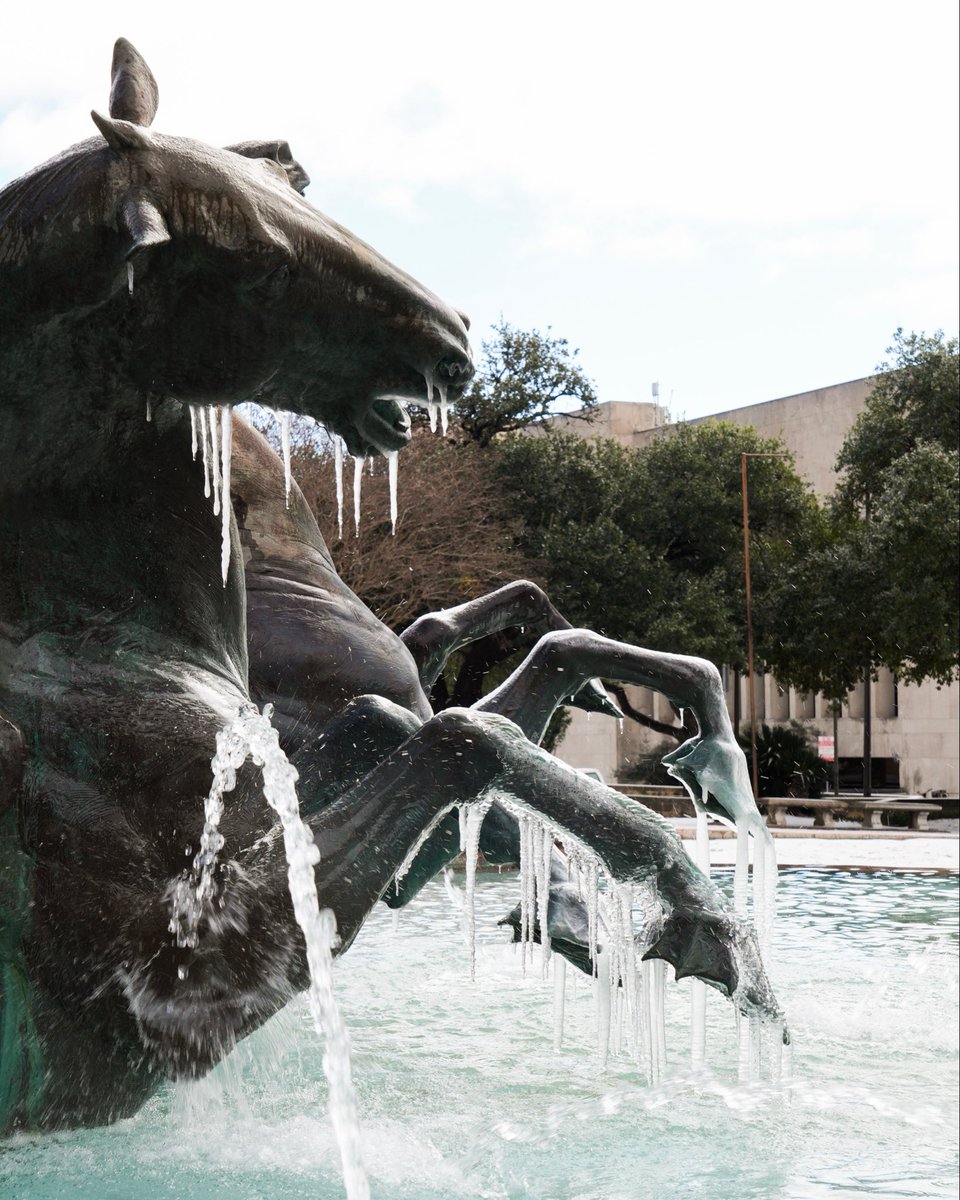 UT Austin tweet media