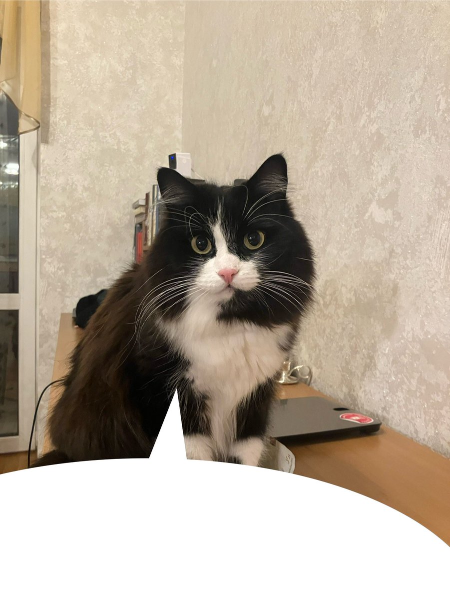 technomysh's tweet image. 