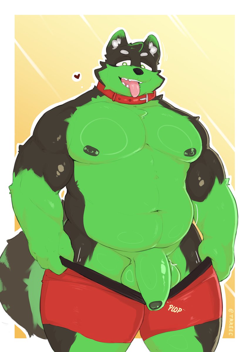 CanisGreen 🔜 AC tweet media