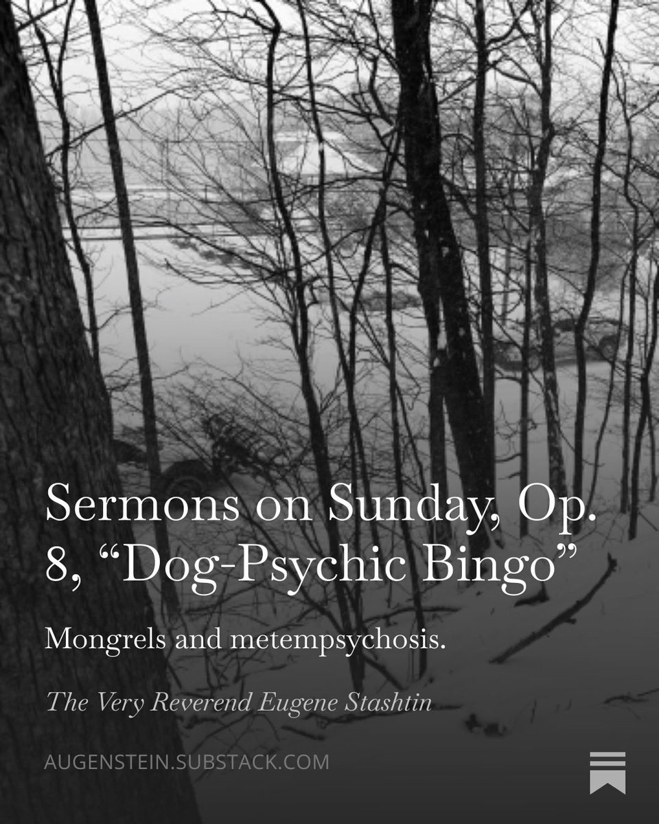 Seth Augenstein tweet media