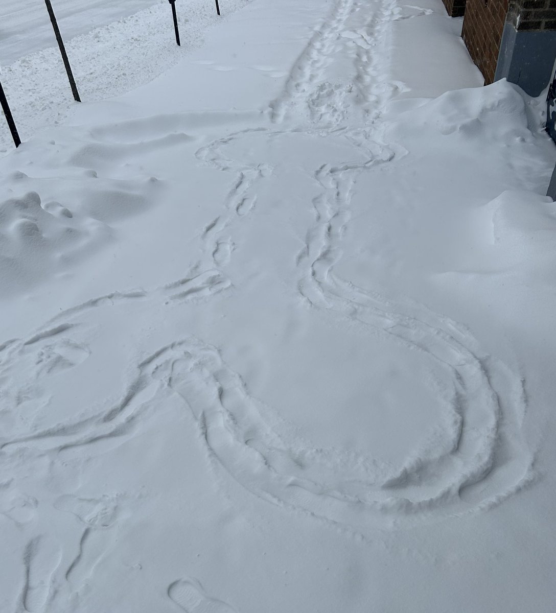 Ethan Simpson tweet media