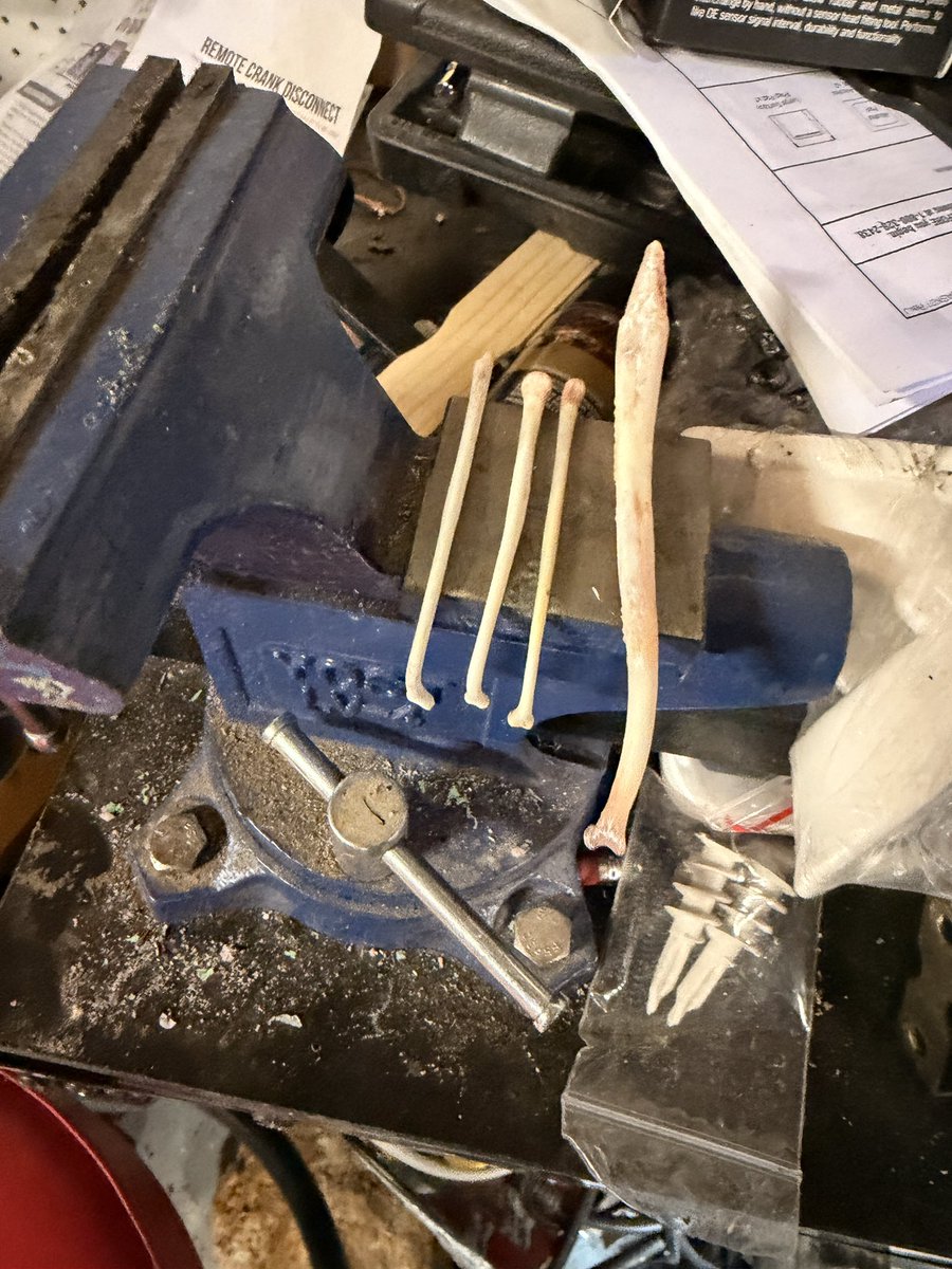 ChoeSergent's tweet photo. One of these is not like the others. 
*No!!!!! These are not for buy, sale, or trade. These are a novelty item of a LICENSED trapper. https://t.co/KI29RakduB