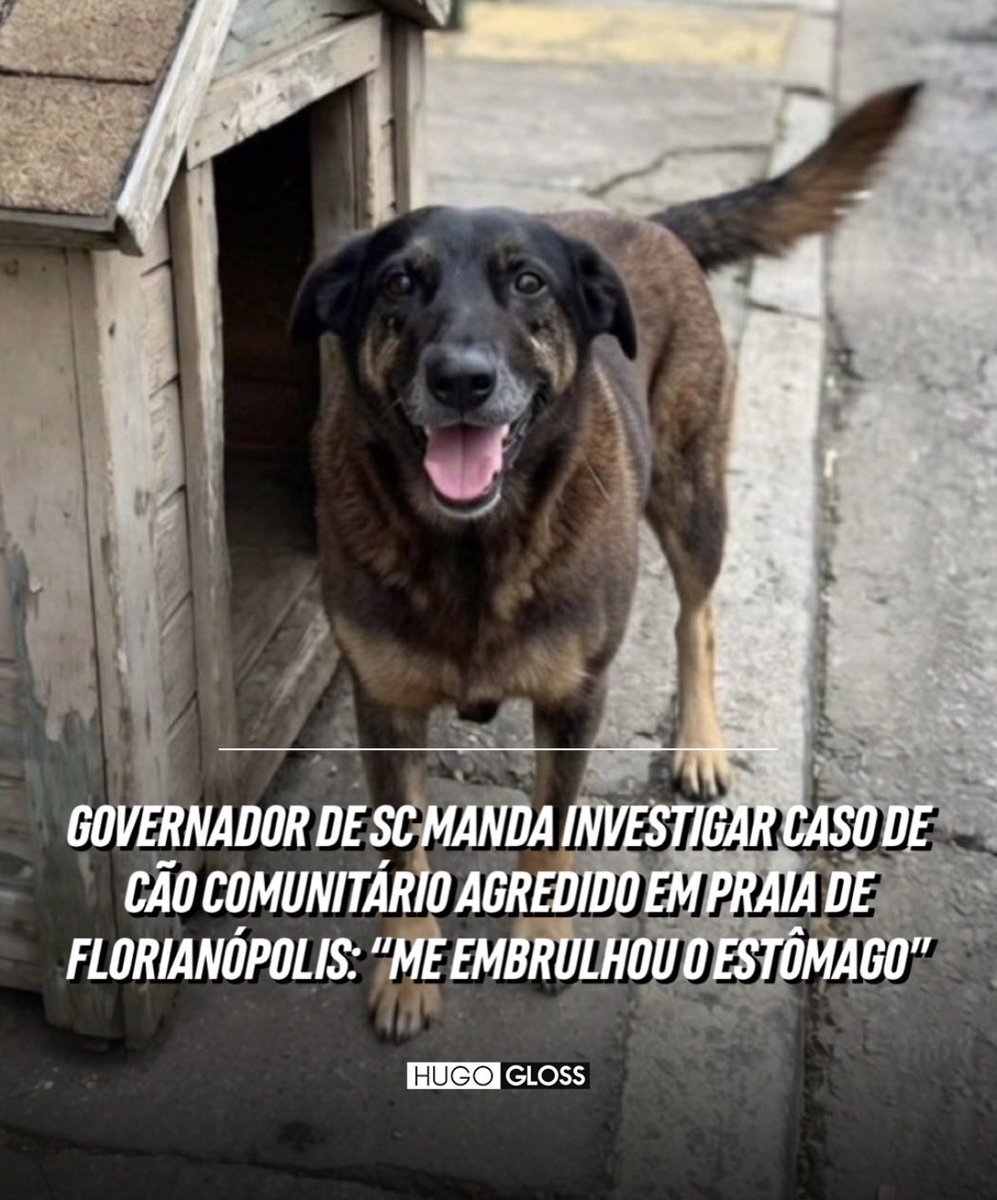 del_brunolima's tweet photo. Mobilização está dando resultado 🙏🏻 https://t.co/JetAfkKMcI