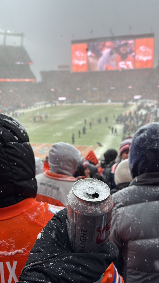 Sgowen🦉 tweet media