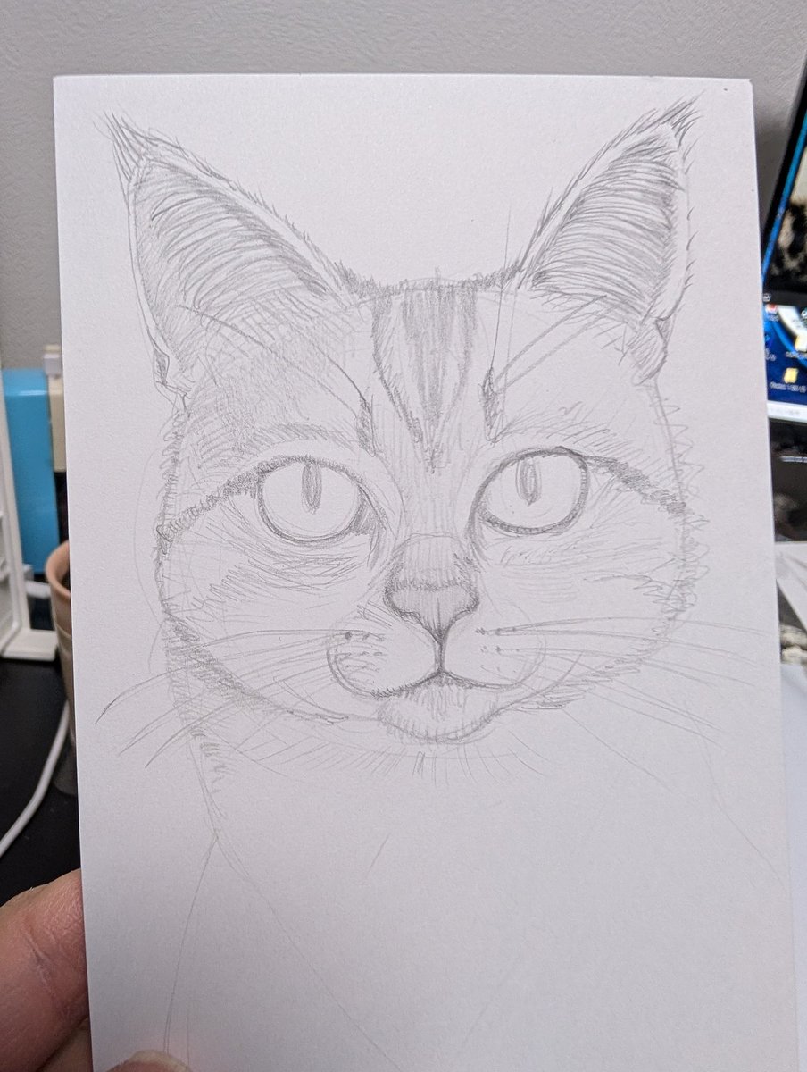865604's tweet photo. #猫好きさんと繋がりたい 　#猫　#sketch https://t.co/IWZwQq4KkC