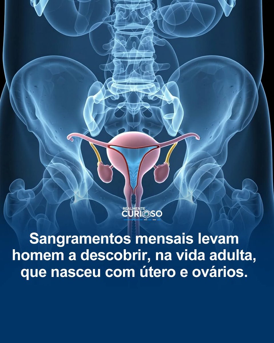 Senso Crítico ⚡ tweet media