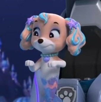 𝘾𝙤𝙧𝙖𝙡 💜🐬🐾 tweet media