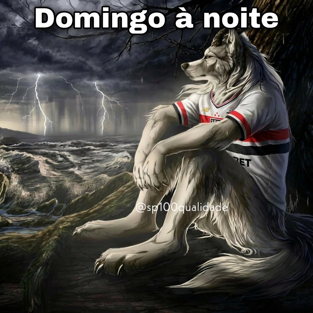 sp100qualidade's tweet image. 