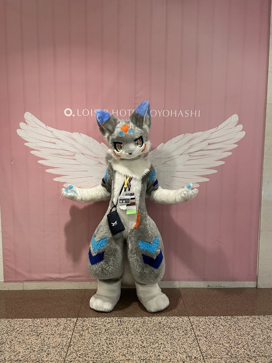 もふてとら！ tweet media