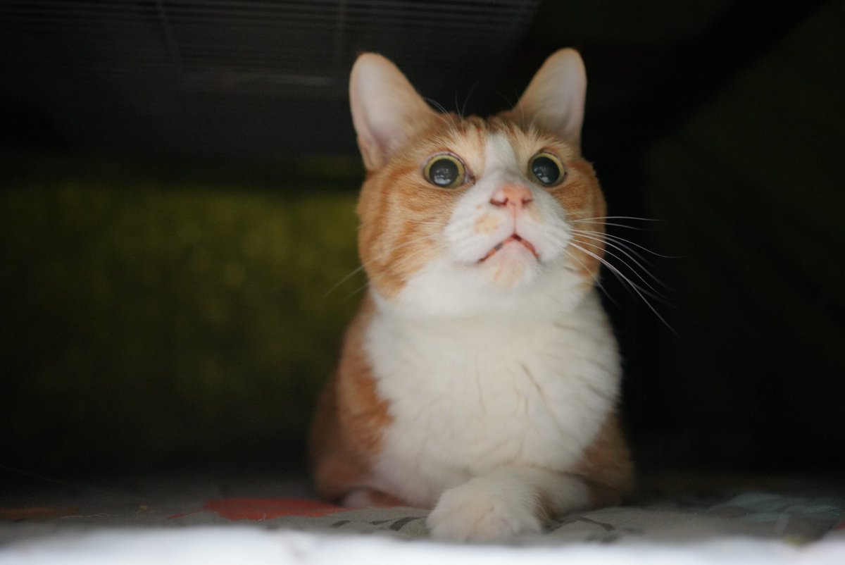 Zil (@zilzal999) / Posts / X