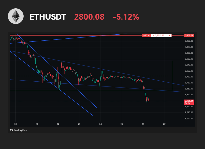 Duce 💯 | Your Average Crypto Guy tweet media