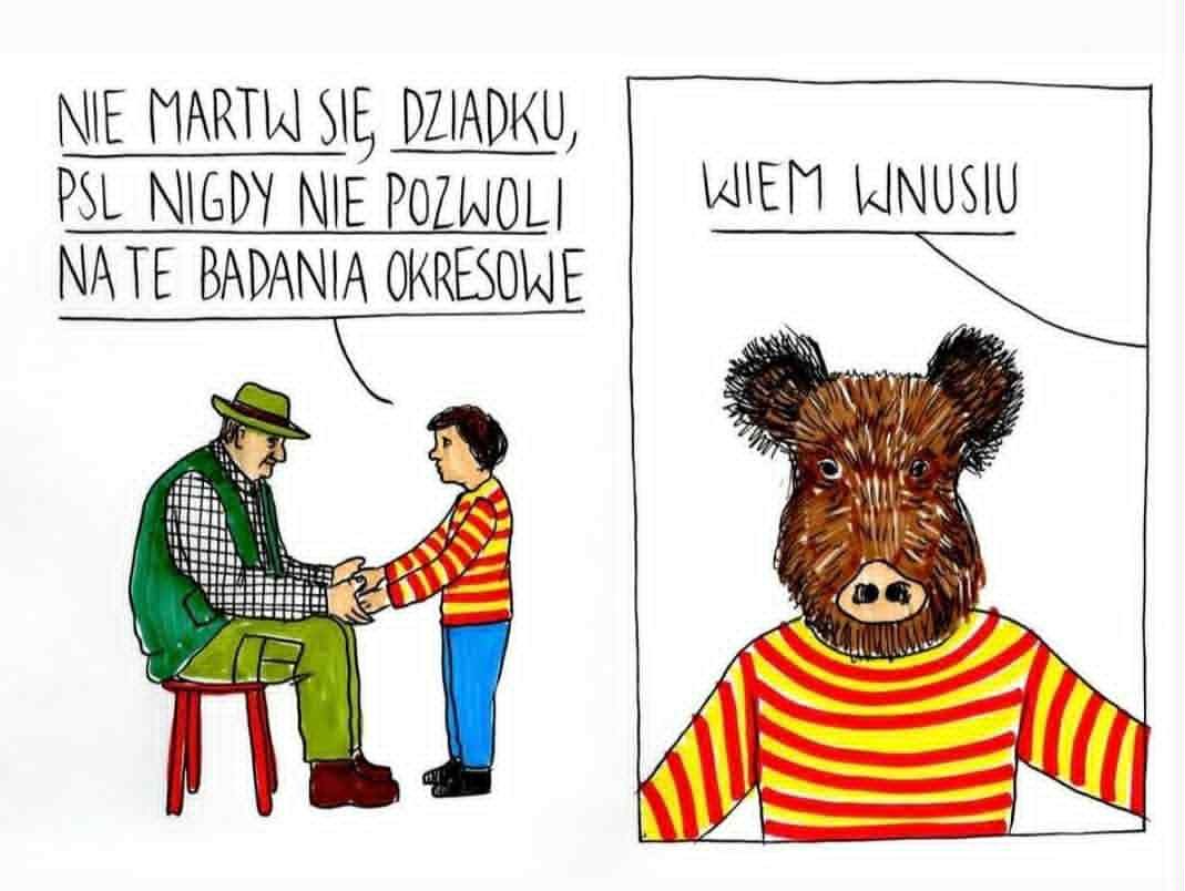 wojciech tweet media