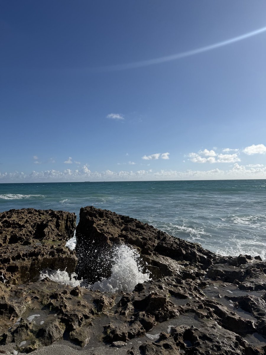 UG Em 🌺 SND Queen 👑 tweet media