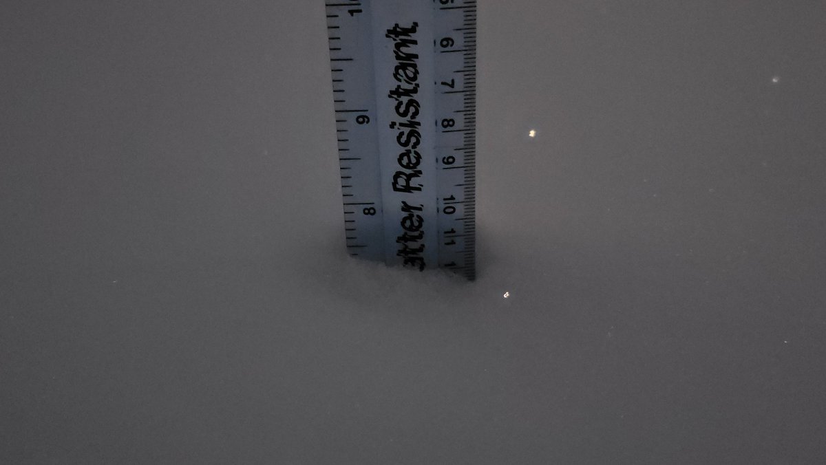 Mighty Muffins tweet media