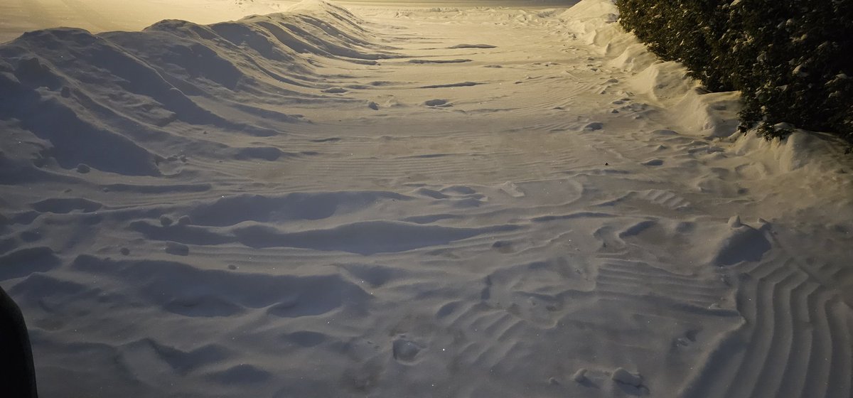 Mighty Muffins tweet media