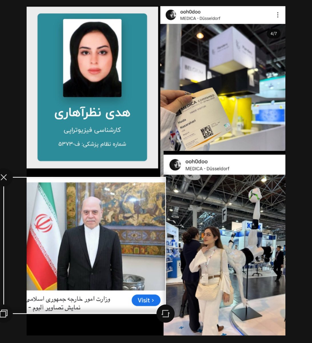 👑Fereshteh Gilaki tweet media