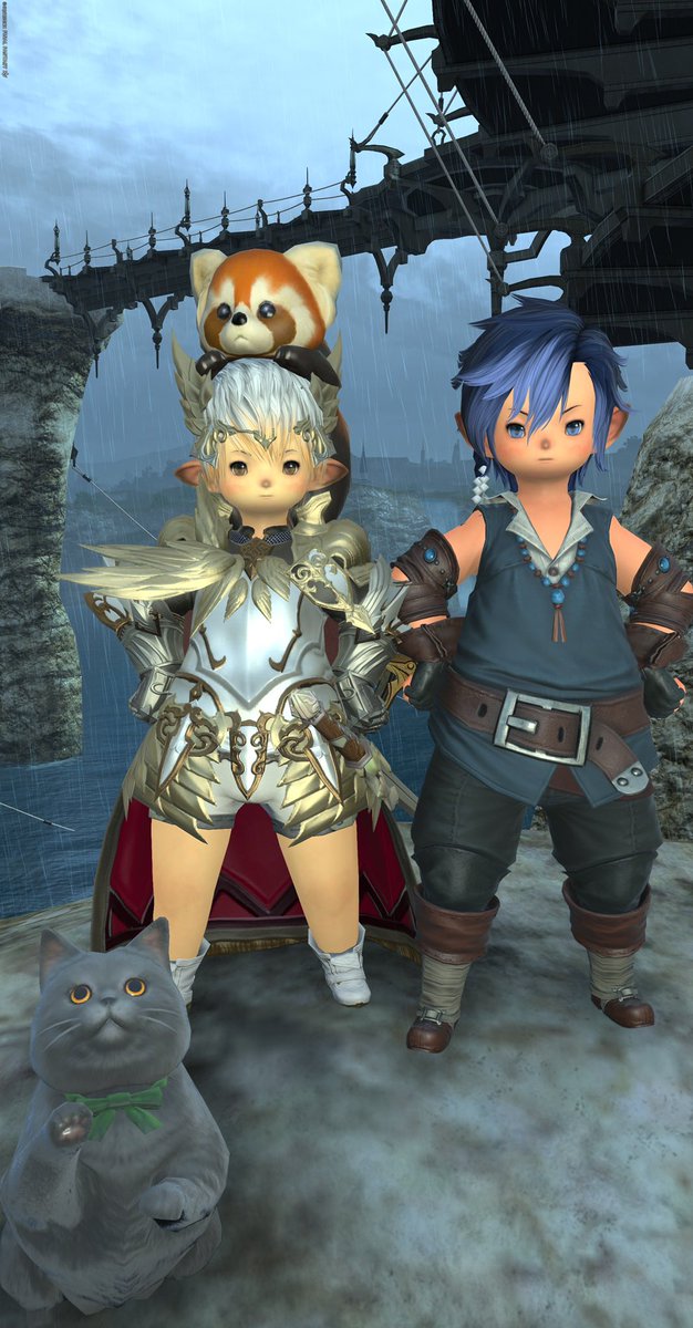 おはよん
体感温度が低いね
#おはララ　#ララオス