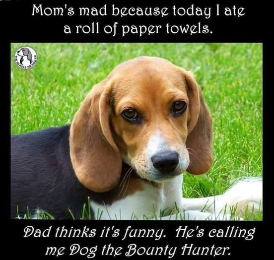 Marti Lawrence (@marti_l) on Twitter photo 